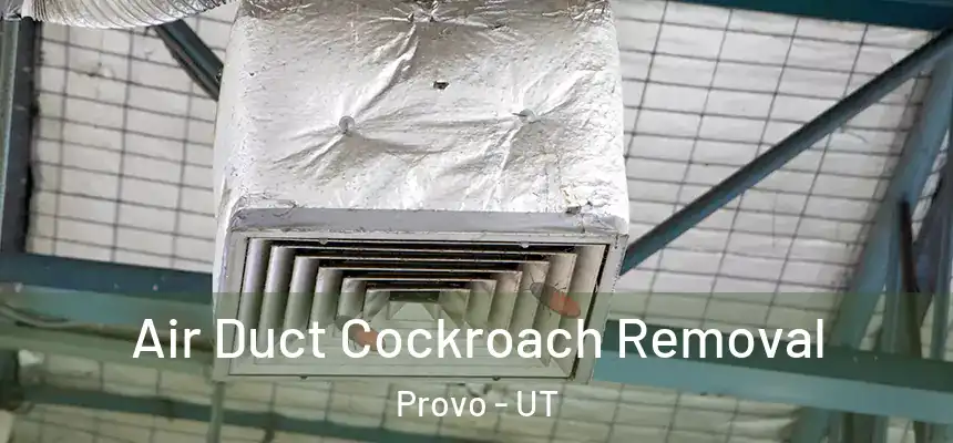 Air Duct Cockroach Removal Provo - UT