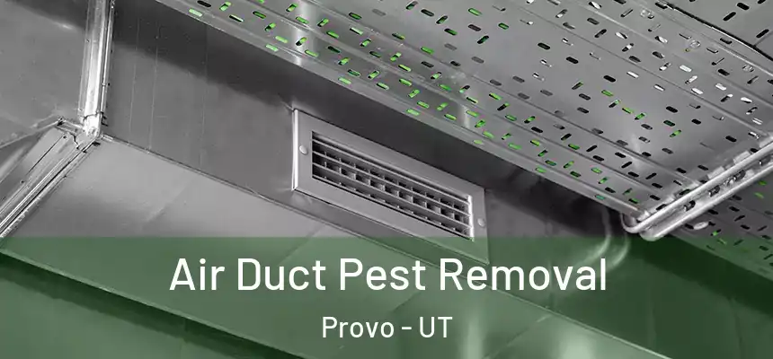 Air Duct Pest Removal Provo - UT