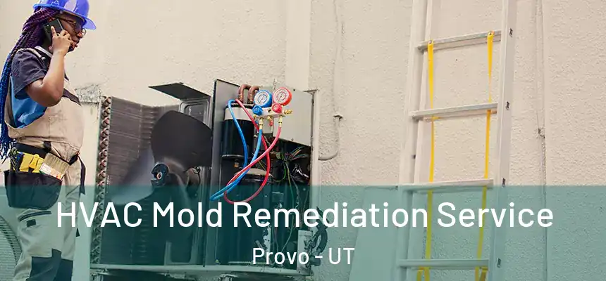  HVAC Mold Remediation Service Provo - UT
