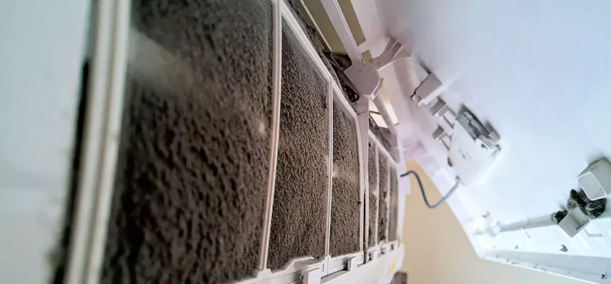 Preventive Air Duct Bacteria Removal in Provo