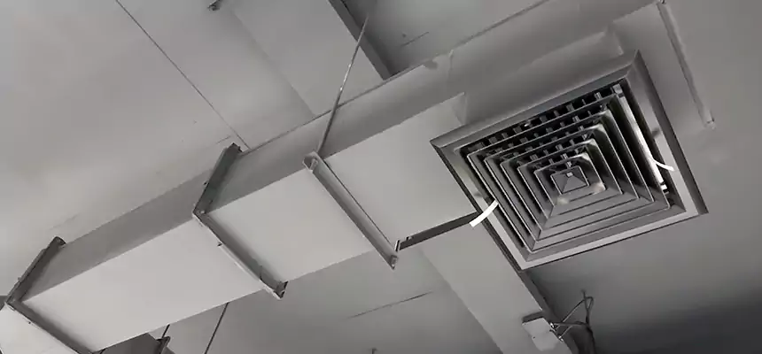 Our Rodent Droppings In Vents Services in Provo, UT