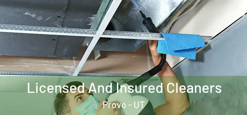  Licensed And Insured Cleaners Provo - UT