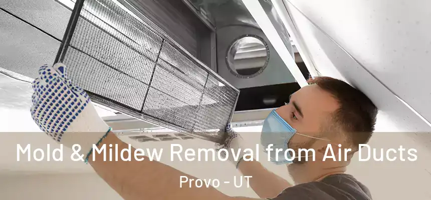  Mold & Mildew Removal from Air Ducts Provo - UT