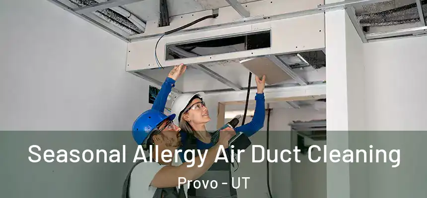 Seasonal Allergy Air Duct Cleaning Provo - UT