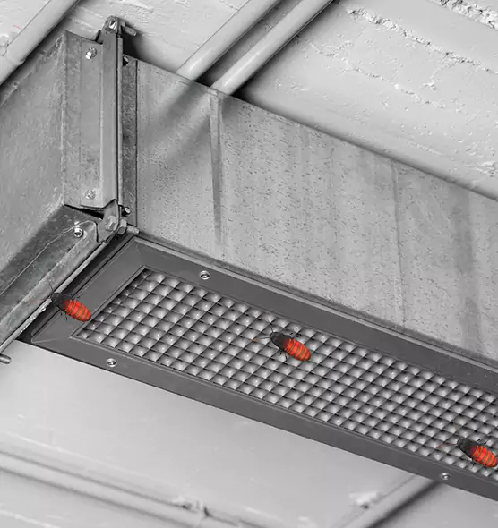 About Air Duct Cockroach Removal in Provo, UT