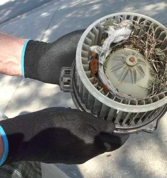 About Air Duct Mice Removal in Provo, UT