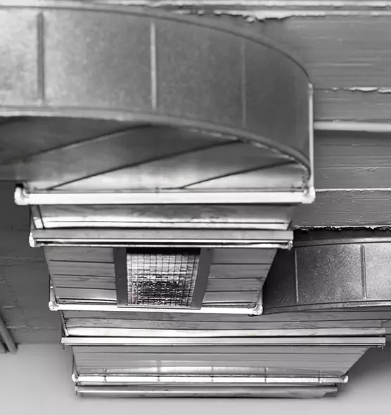 Professional Air Duct Pest Removal in Provo, UT