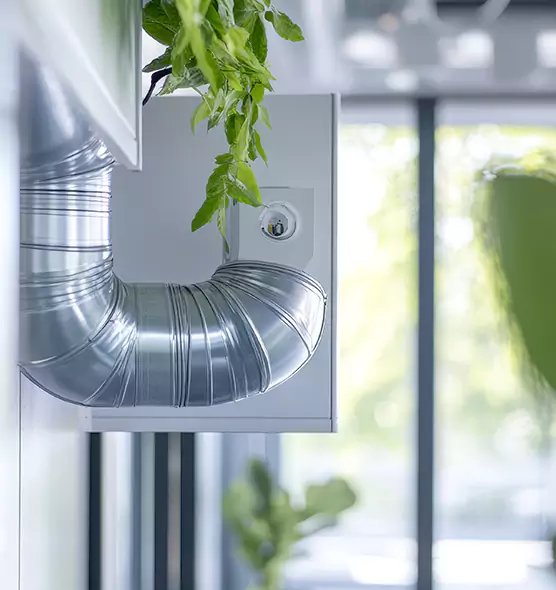 Professional Eco-Friendly Duct Cleaning Services in Provo, UT