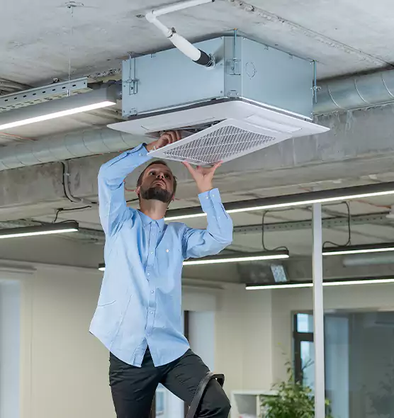 Advanced Rodent Droppings In Vents in Provo, UT